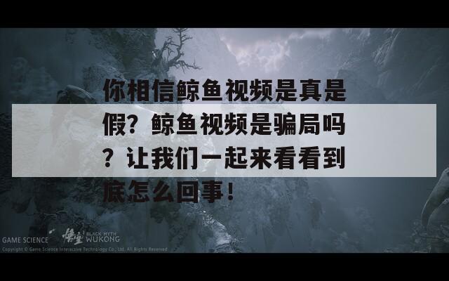 你相信鲸鱼视频是真是假？鲸鱼视频是骗局吗？让我们一起来看看到底怎么回事！