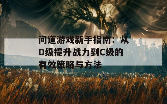 问道游戏新手指南：从D级提升战力到C级的有效策略与方法