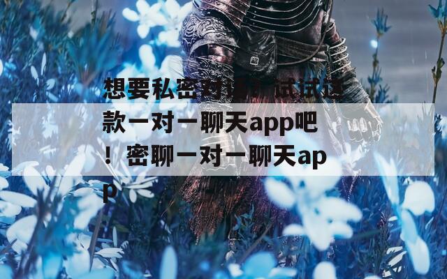 想要私密对话？试试这款一对一聊天app吧！密聊一对一聊天app