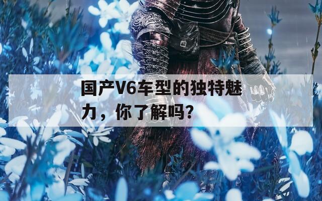 国产V6车型的独特魅力，你了解吗？