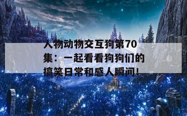 人物动物交互狗第70集：一起看看狗狗们的搞笑日常和感人瞬间！