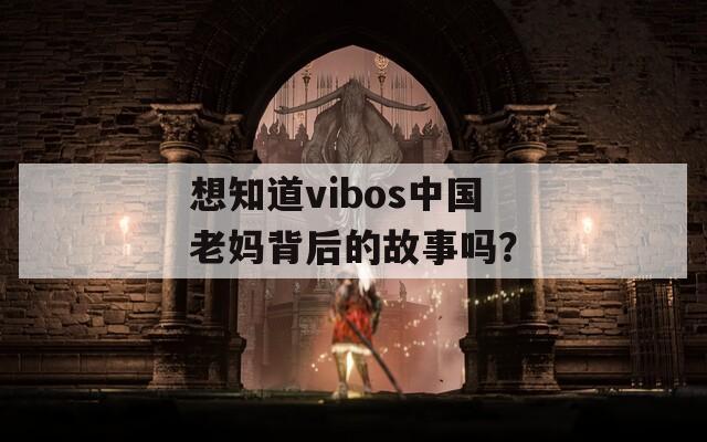 想知道vibos中国老妈背后的故事吗？