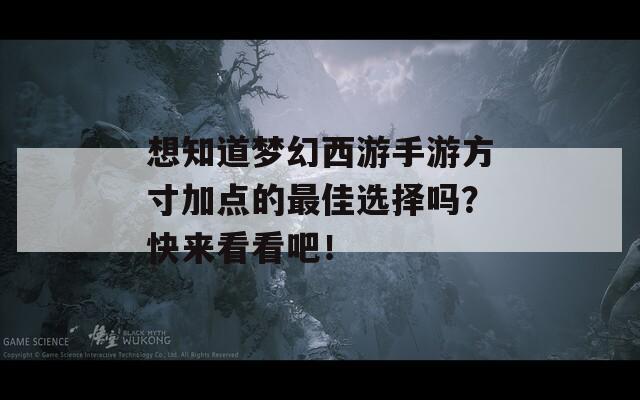 想知道梦幻西游手游方寸加点的最佳选择吗？快来看看吧！