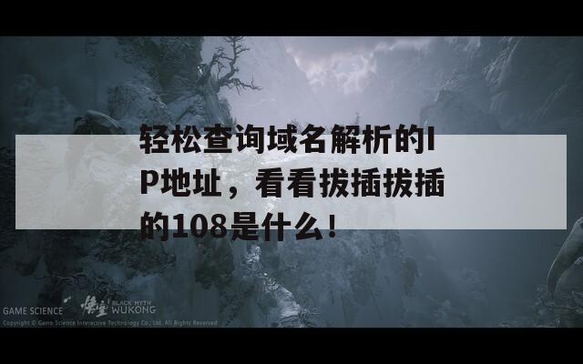 轻松查询域名解析的IP地址，看看拔插拔插的108是什么！