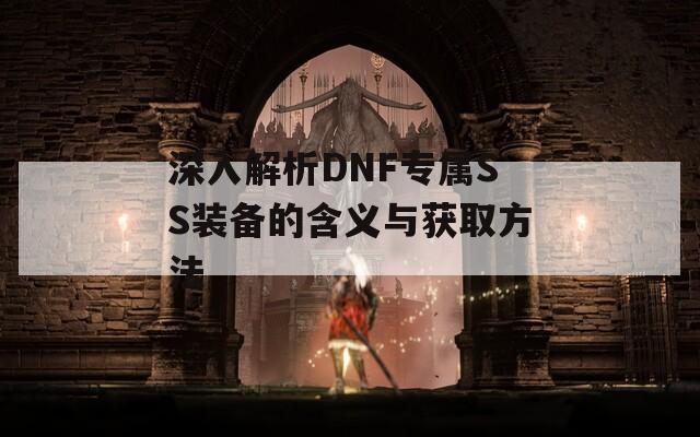 深入解析DNF专属SS装备的含义与获取方法