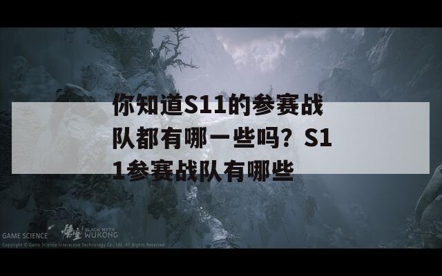 你知道S11的参赛战队都有哪一些吗？S11参赛战队有哪些