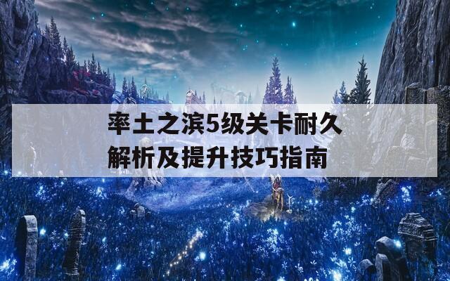 率土之滨5级关卡耐久解析及提升技巧指南