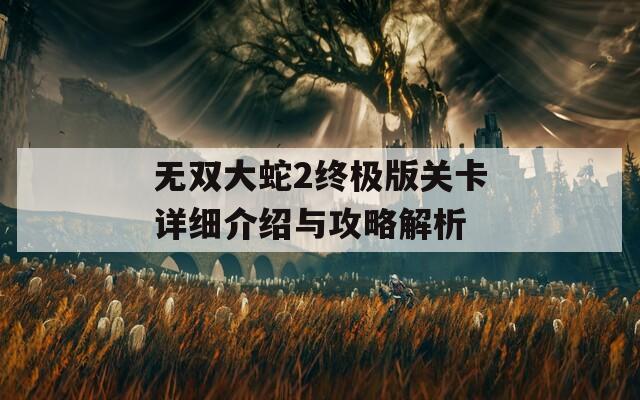 无双大蛇2终极版关卡详细介绍与攻略解析