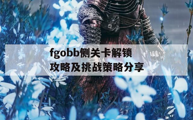 fgobb侧关卡解锁攻略及挑战策略分享