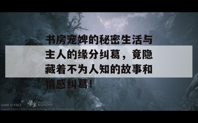 书房宠婢的秘密生活与主人的缘分纠葛，竟隐藏着不为人知的故事和情感纠葛！