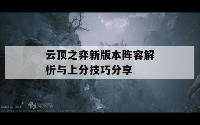 云顶之弈新版本阵容解析与上分技巧分享