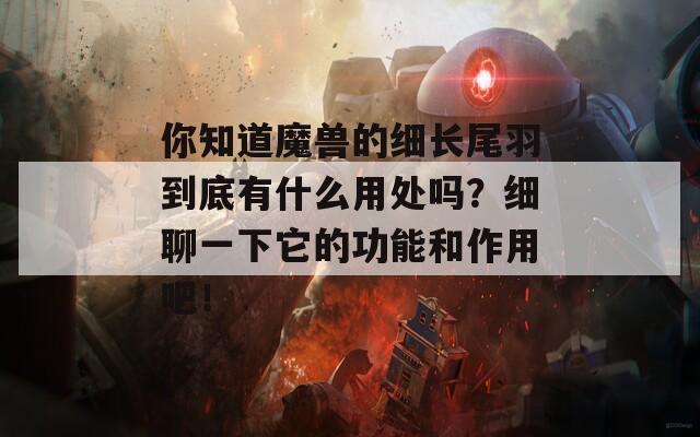 你知道魔兽的细长尾羽到底有什么用处吗？细聊一下它的功能和作用吧！