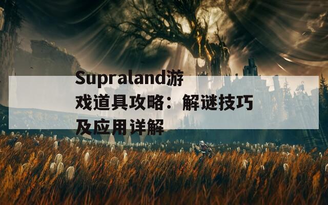 Supraland游戏道具攻略：解谜技巧及应用详解