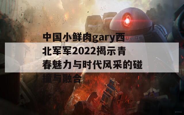 中国小鲜肉gary西北军军2022揭示青春魅力与时代风采的碰撞与融合