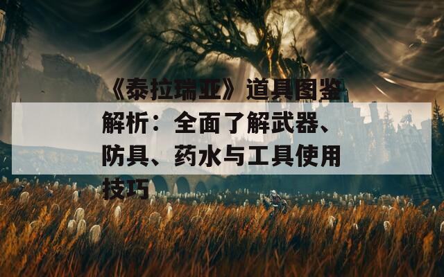 《泰拉瑞亚》道具图鉴解析：全面了解武器、防具、药水与工具使用技巧