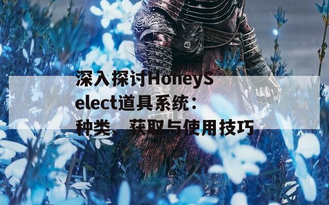 深入探讨HoneySelect道具系统：种类、获取与使用技巧