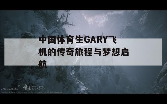 中国体育生GARY飞机的传奇旅程与梦想启航