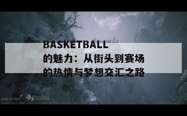 BASKETBALL的魅力：从街头到赛场的热情与梦想交汇之路